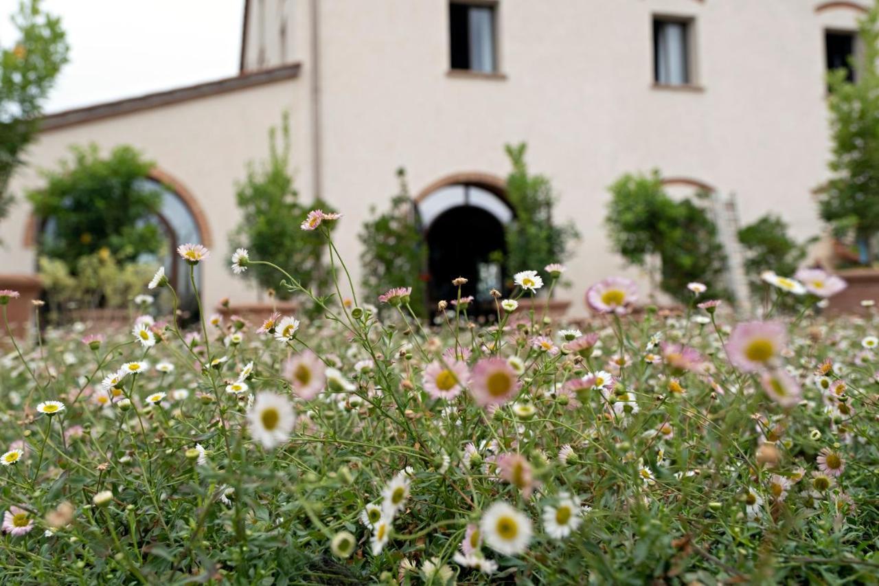 Paradis Agricole Pietrasanta Exterior photo