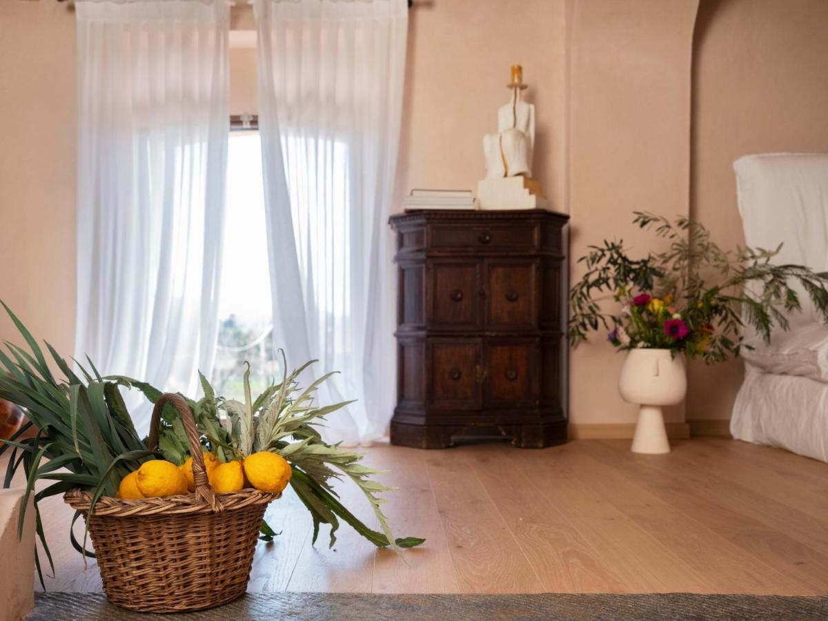 Paradis Agricole Pietrasanta Exterior photo